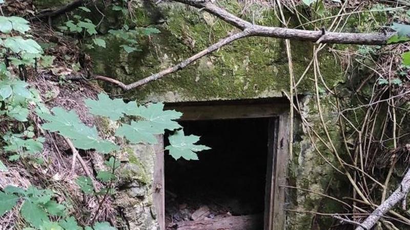 Rejtély a Bakony mélyén: Milyen titkok lapulnak a föld alatt?