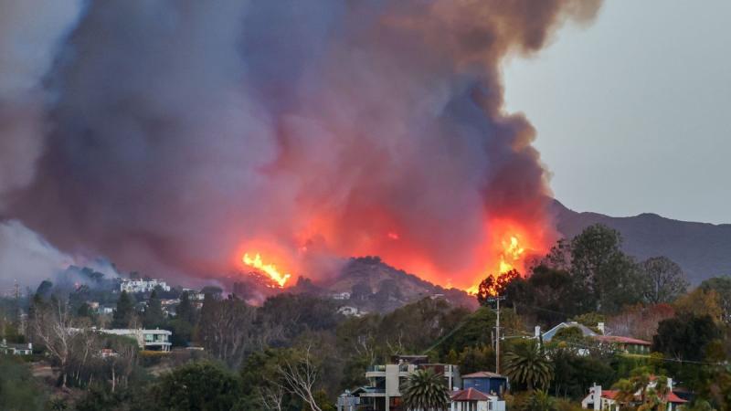 Los Angeles-i tűzvészek és ausztrál bozóttüzek: Miért tapasztalunk egyre gyakoribb megjelenésüket? - Életmód

Az utóbbi években drámai mértékben megnövekedett a Los Angeles-i tűzvészek és ausztrál bozóttüzek száma, amelyek nemcsak az érintett területek ök