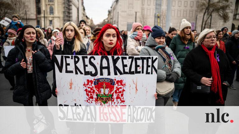 A nőjogi szakértők szerint fontos, hogy a rendőrök megértsék, hogy ha egy nő bántalmazás áldozatává válik, az nem mindig olyan egyszerű, hogy miért nem hagyja el a kapcsolatot. Az ilyen helyzetek komplexek és sok tényezőtől függenek, amelyek megnehezítik 